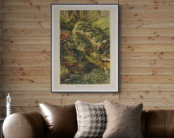 Vintage Mosses and Liverworts Botanical Print, Nature Wall Decor (Digital Download)