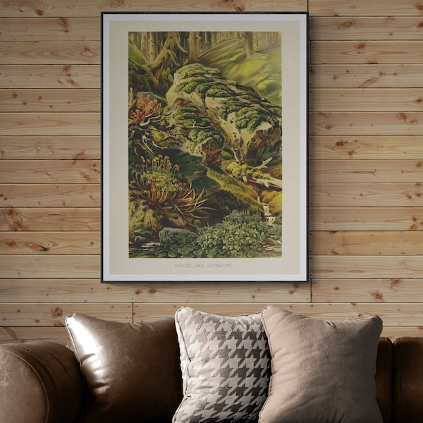 Vintage Botanical prints, Botanical Illustrations Prints, Digital Download Wall Art, Nature wall decor, Mosses and Liverworts.