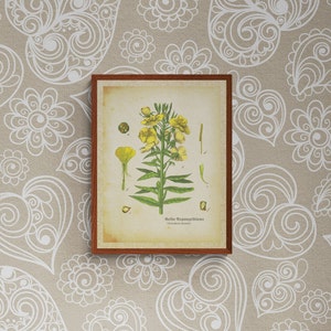 Vintage Wall Art, Vintage Art, Home Decor Gift, Houseplant Paintings, Plant Posters, Leaf Prints, Flower print, Digital download