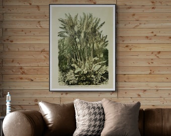 Vintage Botanical Art, Botanical Illustrations Prints, Digital Download Wall Art, Nature wall decor, The traveller's tree in Madagascar.