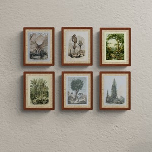 Vintage Botanical Prints Set of 6, Landscapes Digital Prints, vintage printable wall art, Printable wall set, Home Decor, Digital download