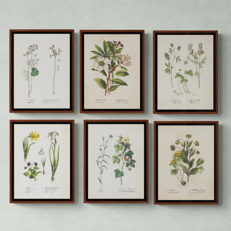 Botanical Print Set - Etsy
