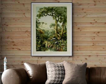 Vintage Ceylon Botanical Print, Tropical Epiphytes Illustration (Digital Download)
