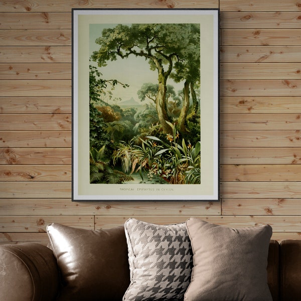 Vintage Botanical Art, Botanical Illustrations Prints, Digital Download Wall Art, Nature wall decor, Tropical Epiphytes in Ceylon.