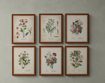Botanical Prints Set of 6, Vintage Botanical prints, Vintage printable wall art, Printable wall set, Instant download, Digital download