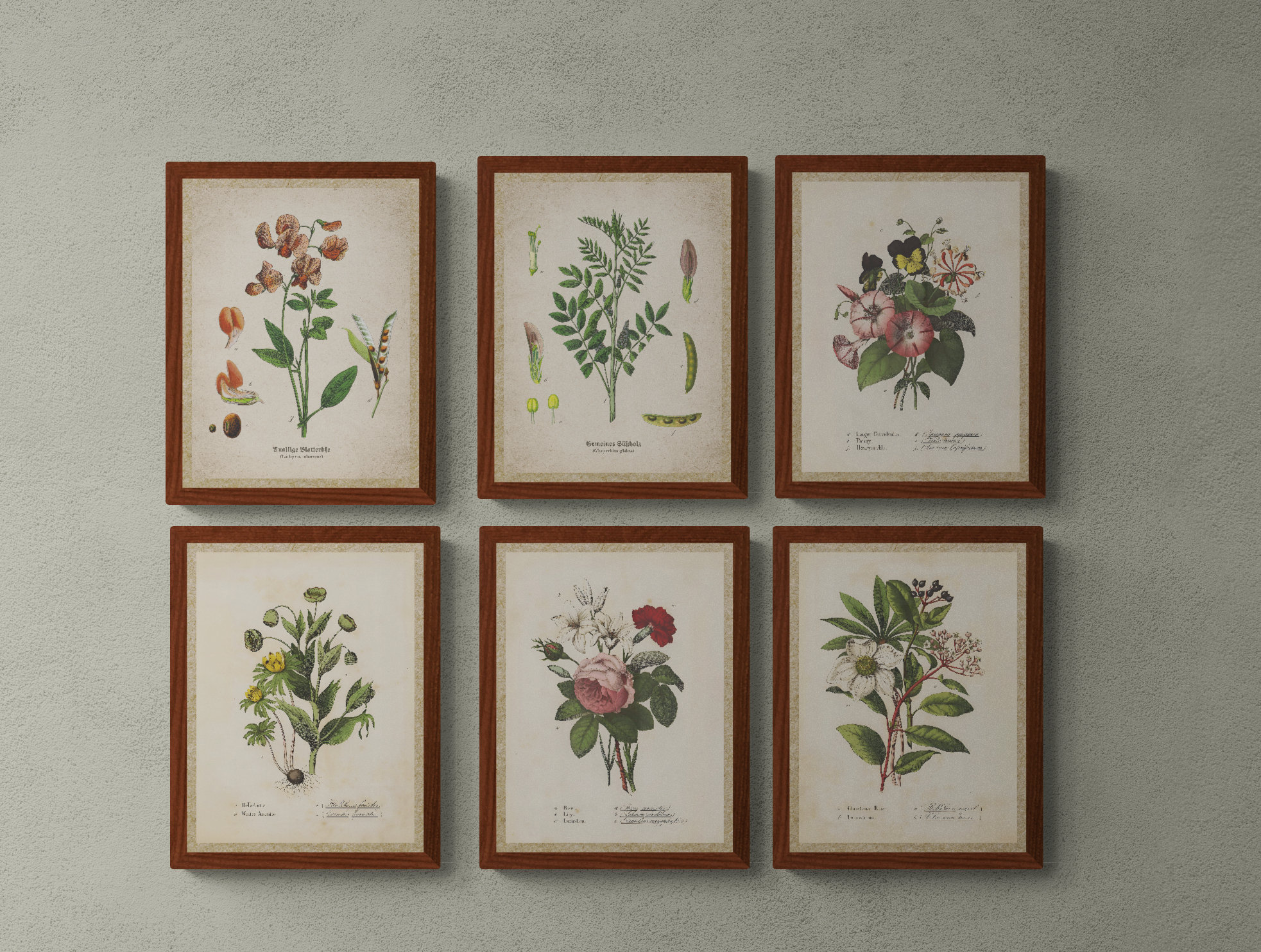 Botanical Prints Set of 6, Vintage Botanical prints, Vintage printable wall art, Printable wall set, Instant download, Digital download