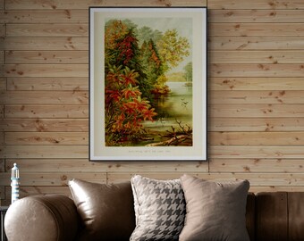Stampa artistica botanica d'epoca del lago Erie, paesaggio autunnale (download digitale)