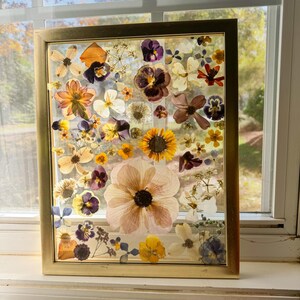 Pressed flower frame 19