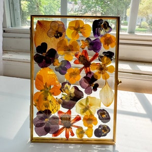 Pressed flower frame 8