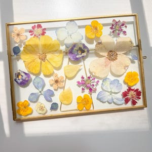 Pressed flower frame 30
