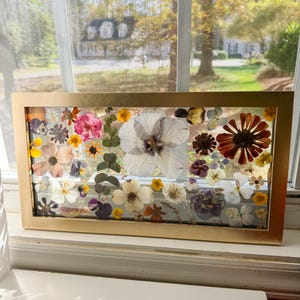 Pressed flower frame 20