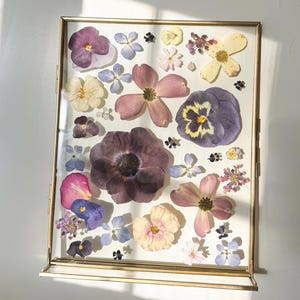 Pressed flower frame 35