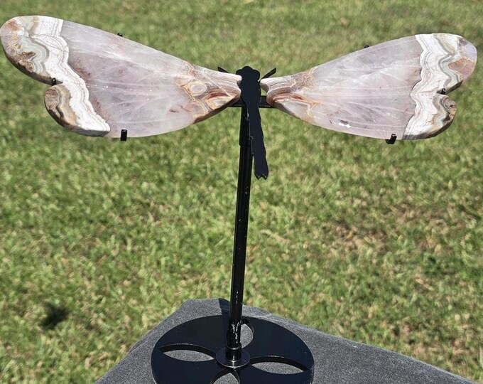 Amethyst Crazy Lace Agate Crystal Dragonfly Wings