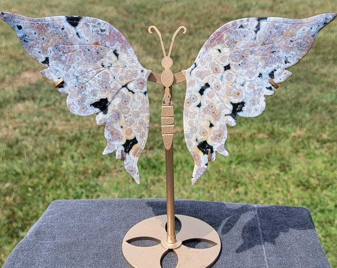8th Vein Orbicular Ocean Jasper Crystal Butterfly Wings *RARE*