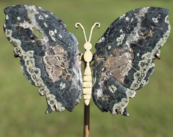 Orbicular Ocean Jasper Crystal Butterfly Wings
