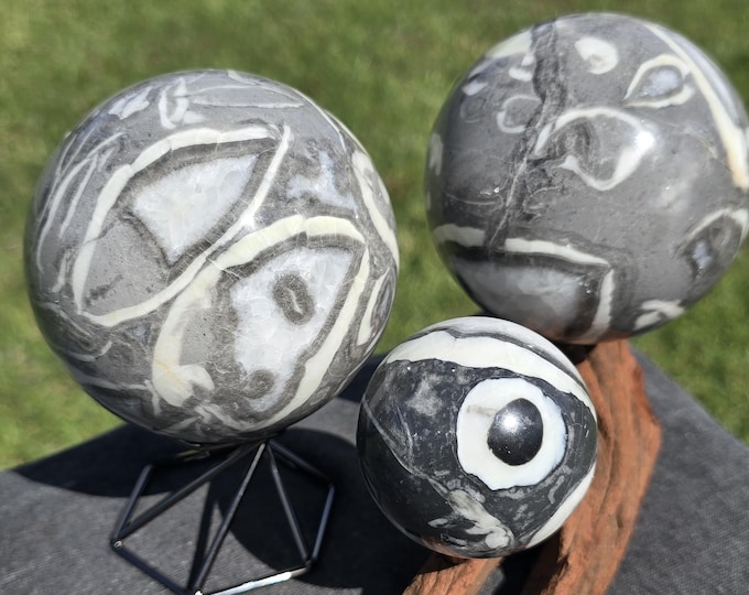 Thousand Eye Fossilized Shell Jasper Crystal Sphere