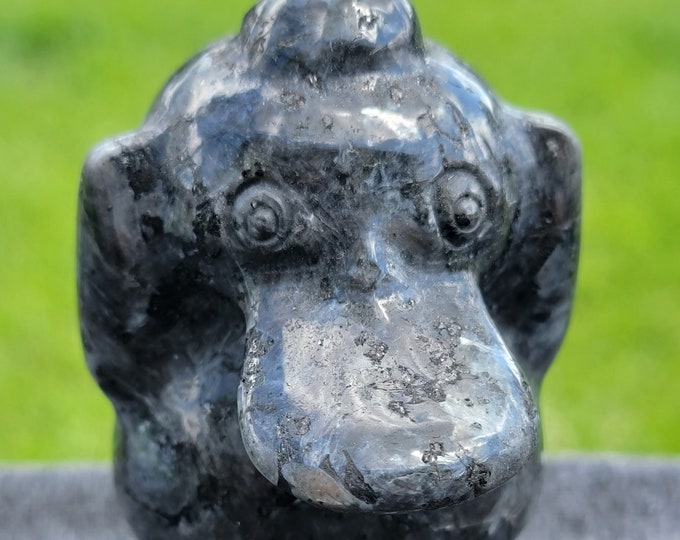 Larvikite Pokémon Psyduck