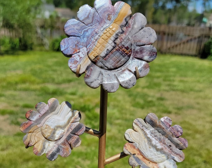 Mexico Crazy Lace Agate Crystal Triple Sunflower