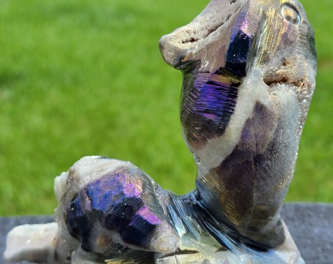 Aura Sphalerite Drusy Dolphin Duo