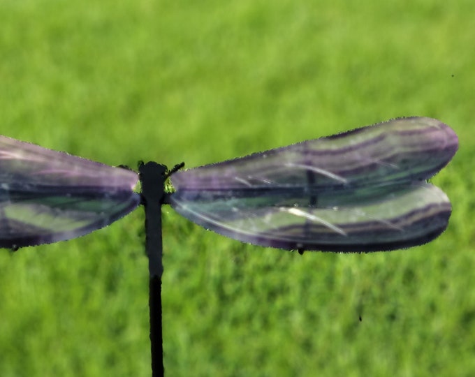 Rainbow Fluorite Crystal Dragonfly Wings