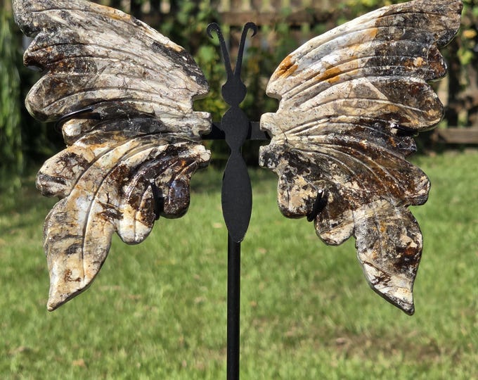 Opalized Petrified Wood Crystal Butterfly Wings