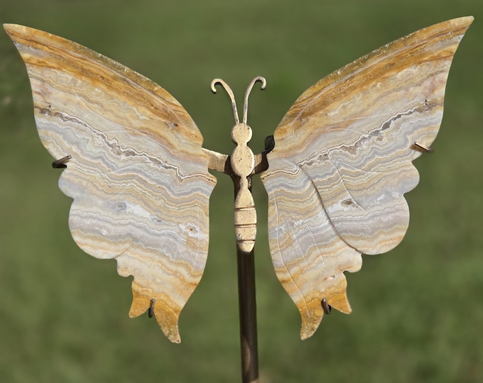 Crazy Lace Agate Crystal Butterfly Wings