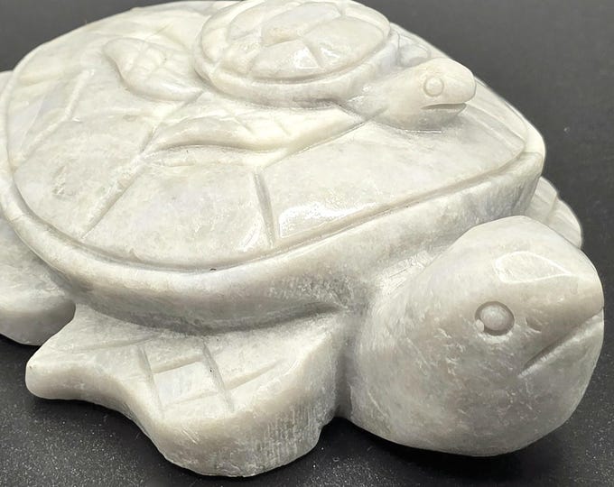 Hackmanite Sodalite Crystal Turtle Carving