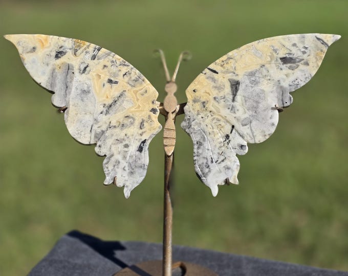 Crazy Lace Agate Crystal Butterfly Wings