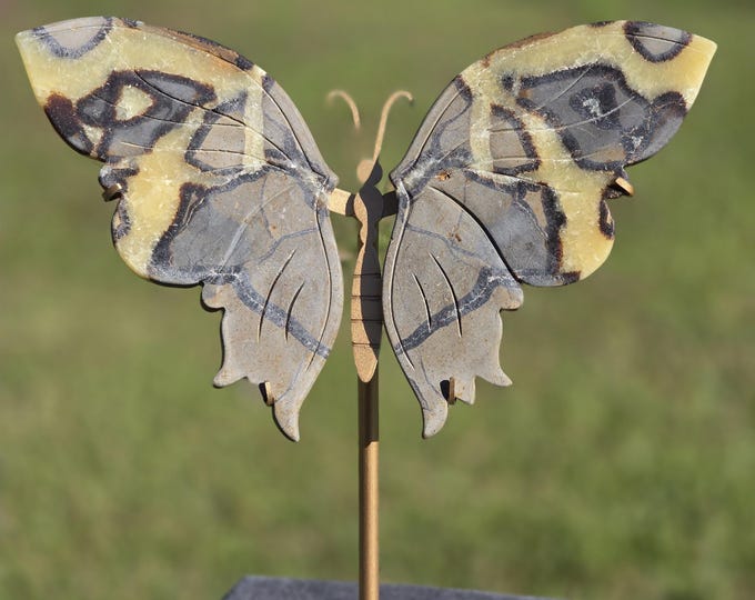 Septarian Crystal Butterfly Wings