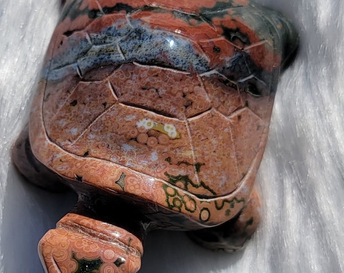 8th Vein Orbicular Ocean Jasper Turtle *RARE*