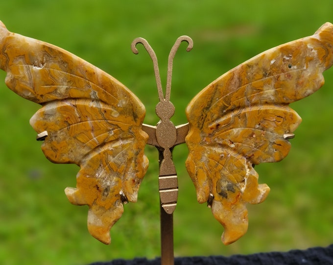 Crazy Lace Agate Crystal Butterfly Wings