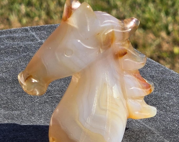 Agate Horsehead Crystal Carving