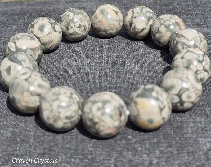 15mm Crinoid Fossil Crystal Bracelet ~ Sea Lily