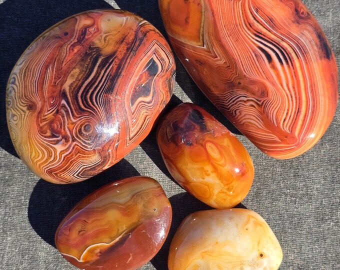 Sardonyx Agate Crystal Freeforms