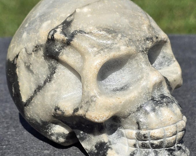 Zebra Jasper Crystal Skull
