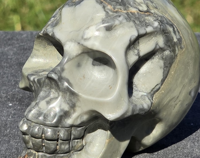 Picasso Jasper Crystal Skull