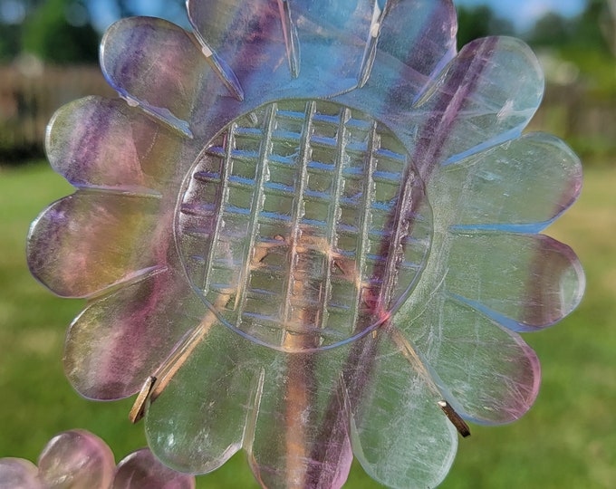 Candy Fluorite Crystal Triple Sunflower