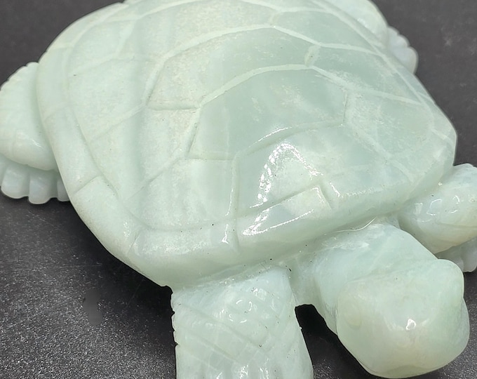 Caribbean Calcite Crystal Turtle