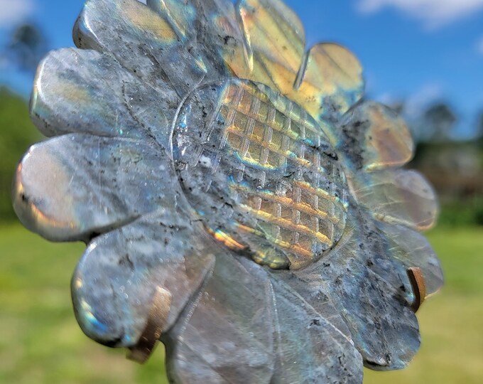 Flashy Labradorite Crystal Triple Sunflower
