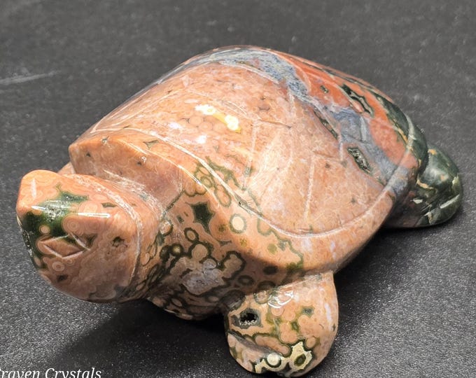 8th Vein Orbicular Ocean Jasper Turtle *RARE*