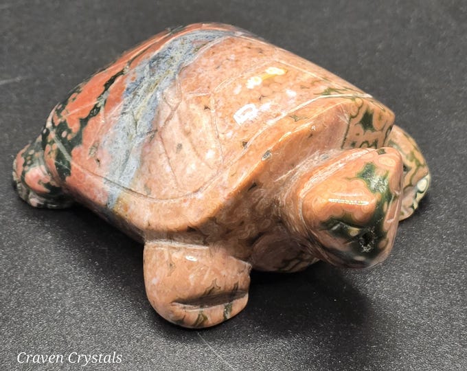 8th Vein Orbicular Ocean Jasper Turtle *RARE*
