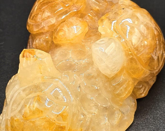Hepatoid Golden Healer Crystal Turtle Trio