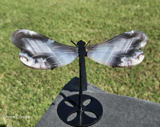 Black Flower Agate Crystal Dragonfly Wings