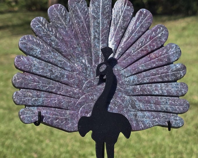 Ruby Kyanite Crystal Peacock Wings