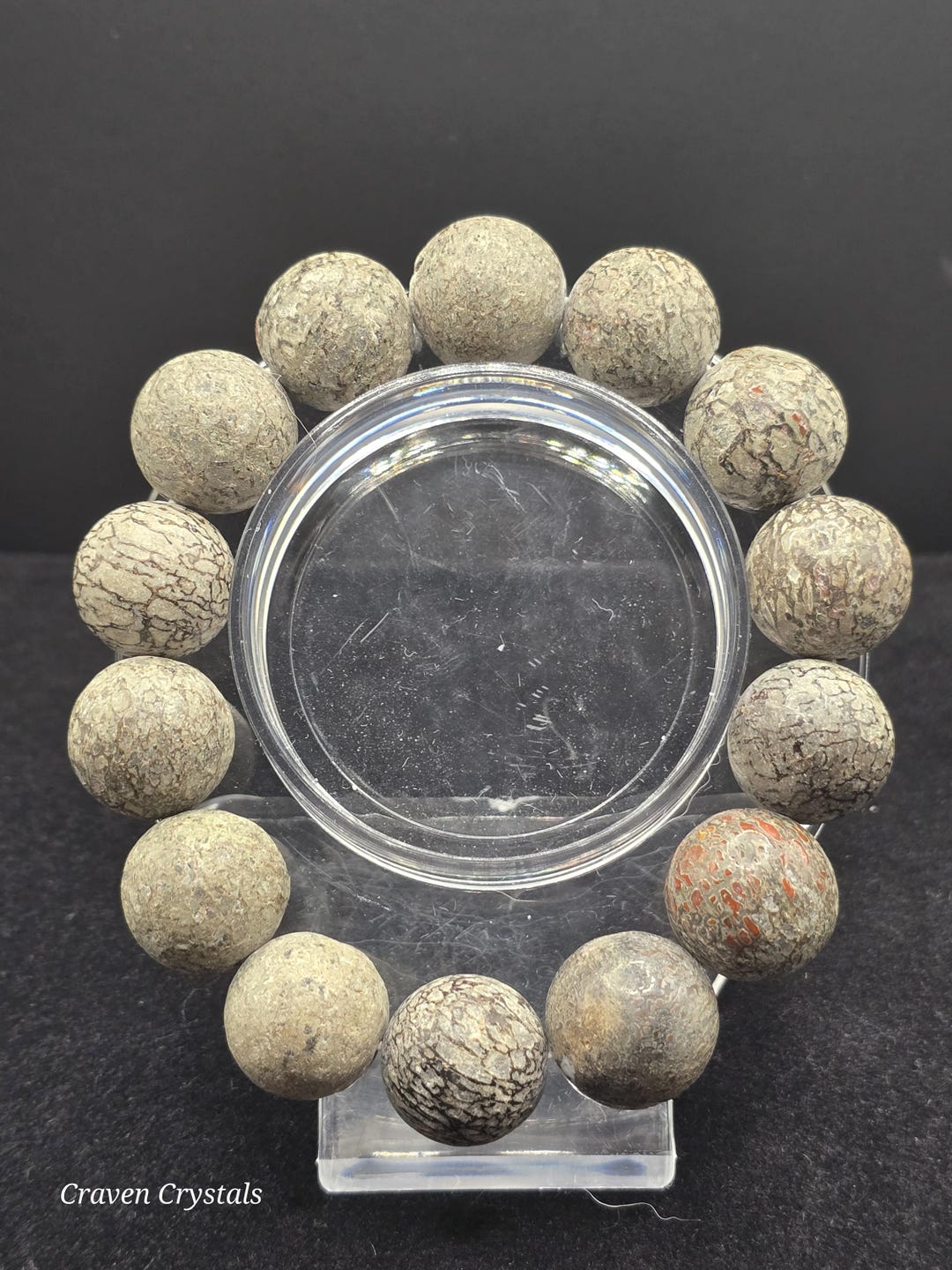 Fossilized Gembone Dinosaur Bracelet - Etsy