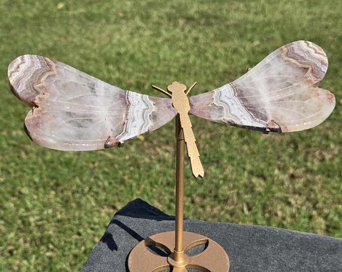 Amethyst Crazy Lace Agate Crystal Dragonfly Wings