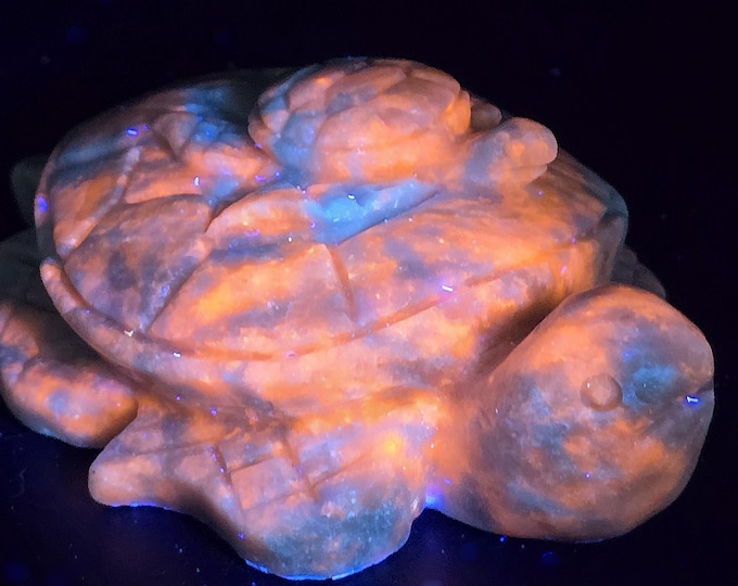 Hackmanite Sodalite Crystal Turtle Carving