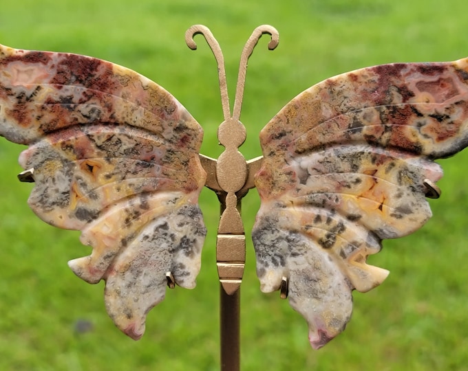 Crazy Lace Agate Crystal Butterfly Wings