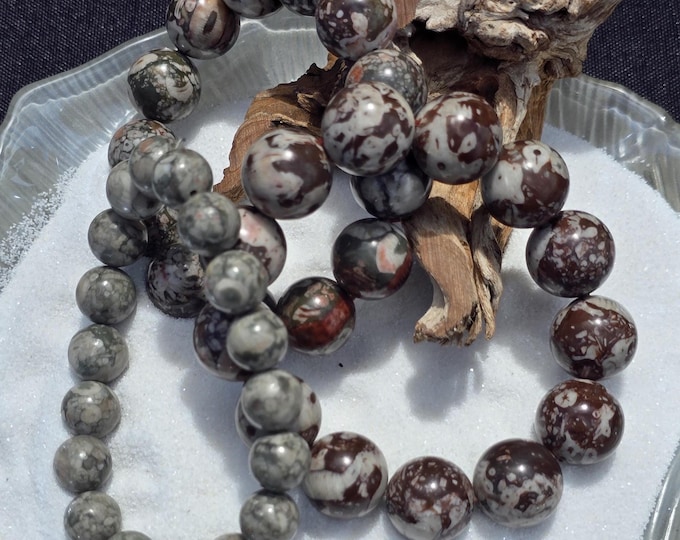 Crinoid Fossil Crystal Beaded Bracelets