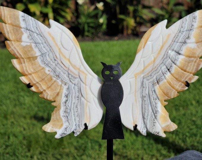 Dendritic Honey Calcite Crystal Owl Wings